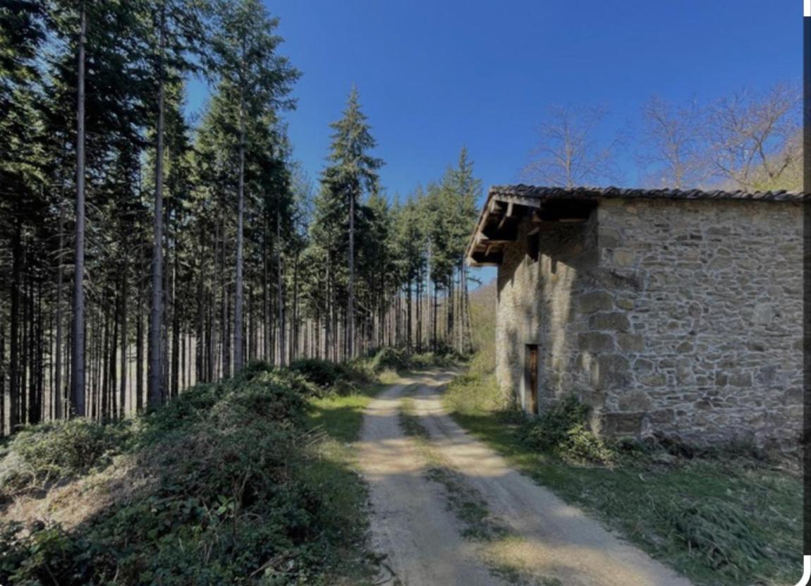 Villetta Mi Il Fabbro Esterno foto