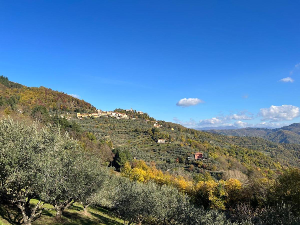 Villetta Mi Il Fabbro Esterno foto